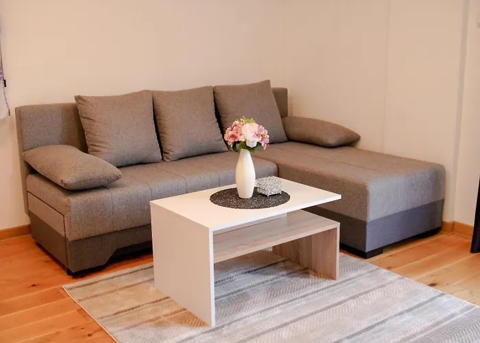 San Διαμέρισμα Banja Koviljača